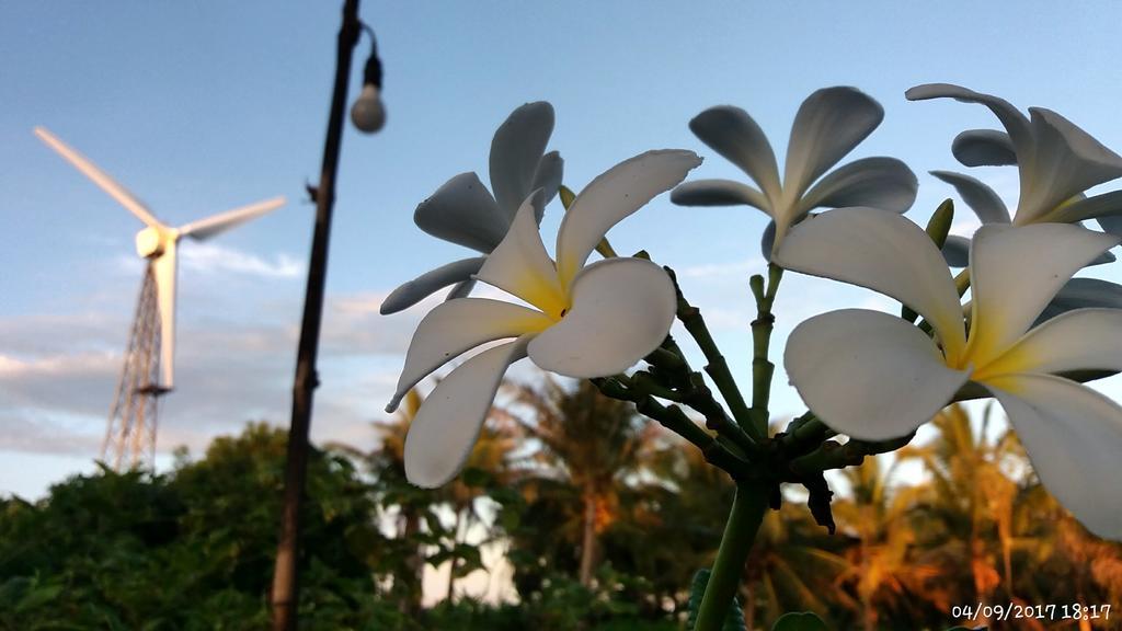Rai Lung Tui Homestay Pracsuap Khirikhan Kültér fotó