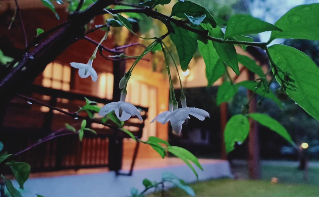 Rai Lung Tui Homestay Pracsuap Khirikhan Kültér fotó